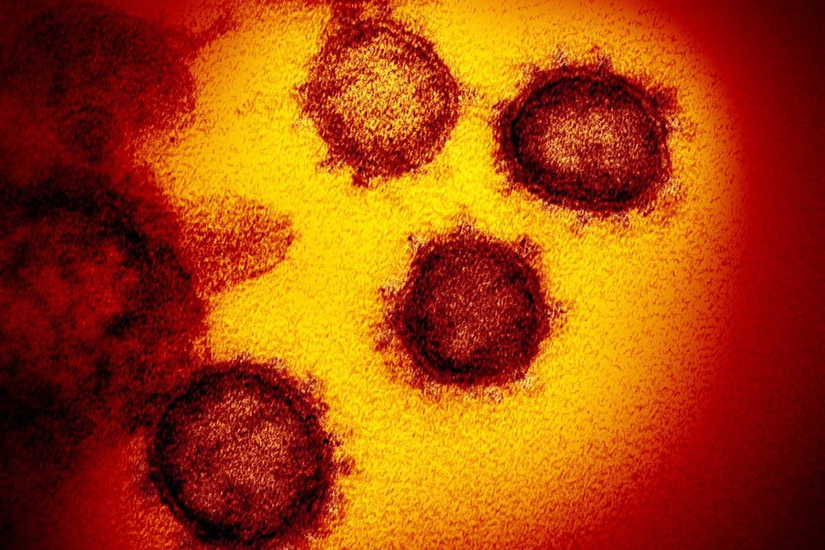 coronavirus risorse web notizie link siti industriagomma