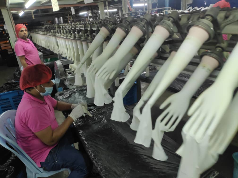 guanti in gomma in lattice naturale Meditech Gloves industriagomma